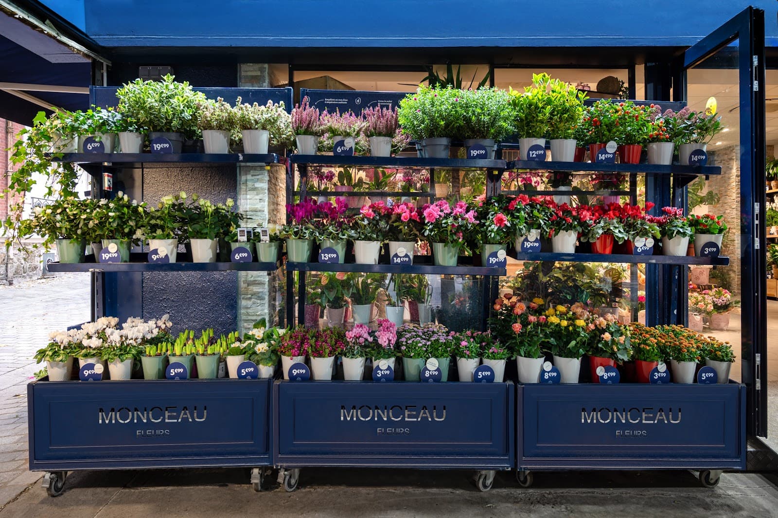 Monceau Fleurs