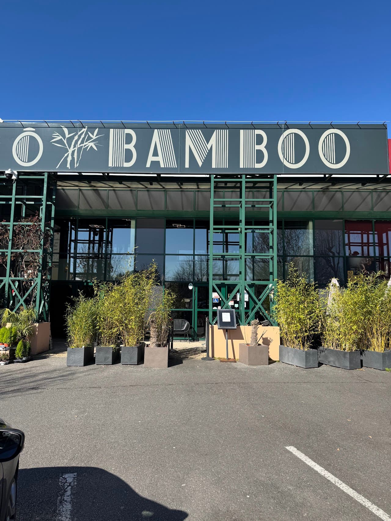 O Bamboo