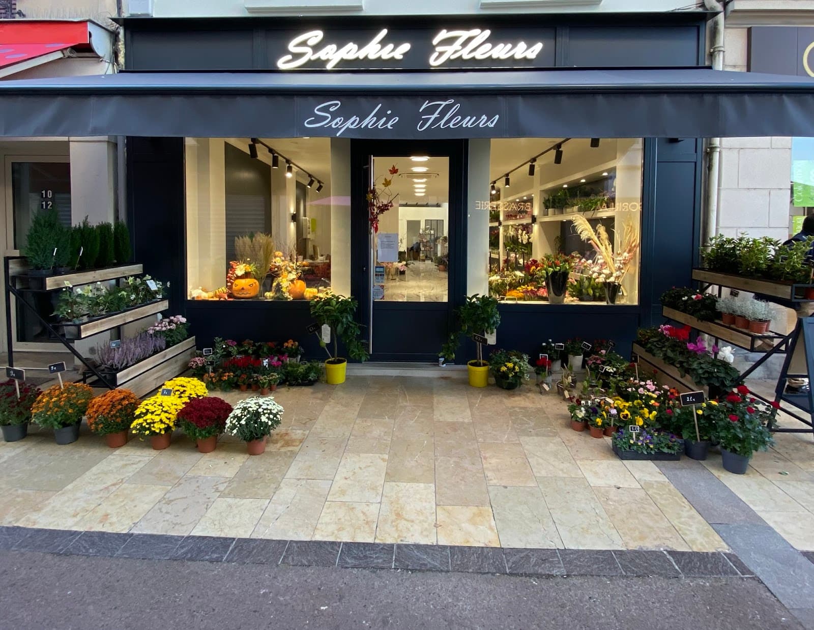 Sophie Fleurs Lagny-sur-Marne