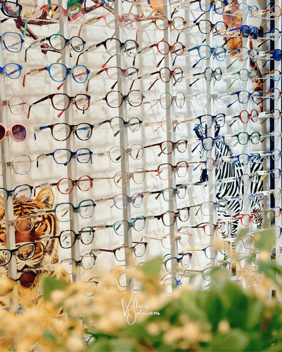 Villiers Opticiens